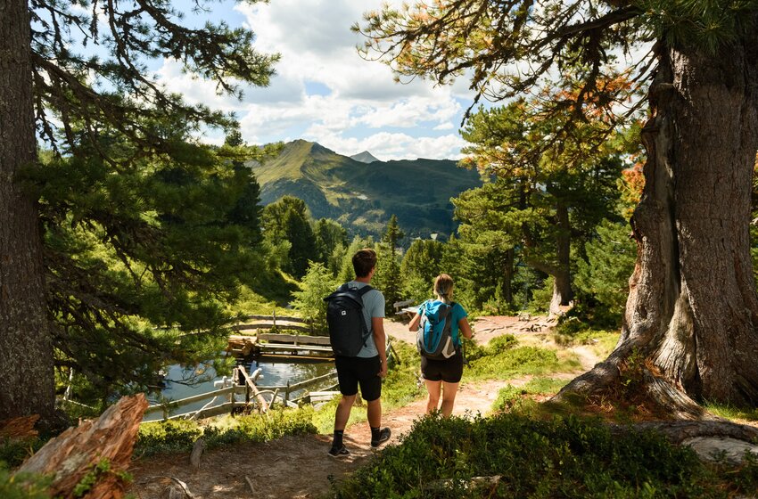 Zwei Wanderer mit Rucksack auf Waldpfad beim Graukogel, mit Blick auf Berge und kleinen Wasserlauf im Sommer | © Gasteinertal Tourismus GmbH