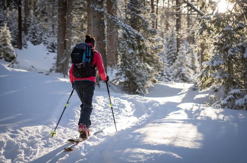 Tourengeherin mit Rucksack auf Skiern geht mit Stöcken durch verschneiten Wald am Graukogel bei Sonne | © Gasteiner Bergbahnen AG