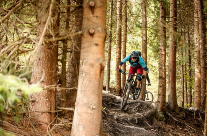 Biker mit Helm und Protektoren auf anspruchsvollem Waldtrail mit Wurzeln im Großarltal | © Grossarler Bergbahnen GmbH & Co KG