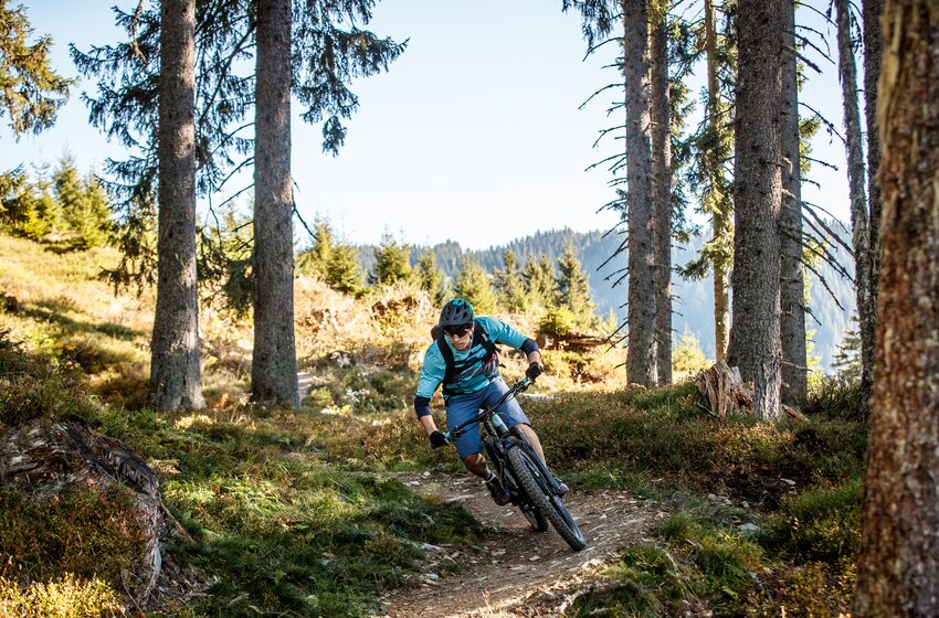 Mountainbiker in blauer Kleidung fährt auf schmalem Trail durch nadelwaldartige Berglandschaft mit Sonnenlicht | © Hochkönig Tourismus GmbH