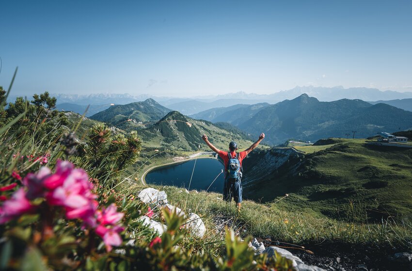 A hiker with a backpack stands with raised arms above an alpine lake with a vast mountain panorama and alpine roses. | © Zauchensee Liftgesellschaft Benedikt Scheffer GmbH